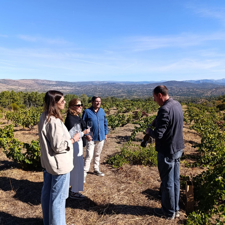 multi-day spanish wine tour