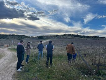 Wine tour Madrid