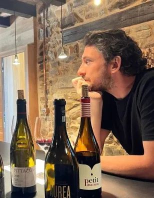 Ordering wine in spain