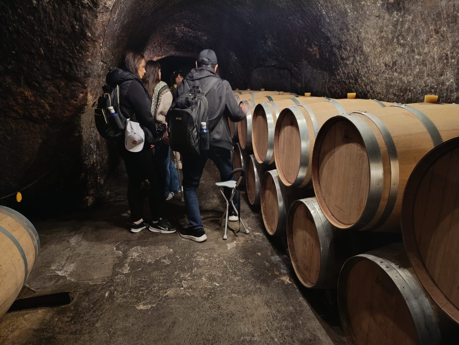ribera del duero 2 day tour