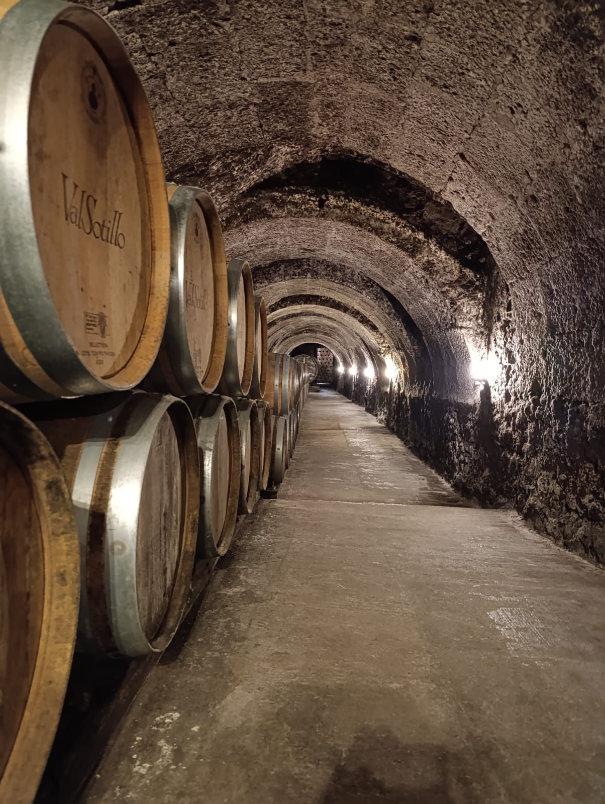 ribera del duero wine tour