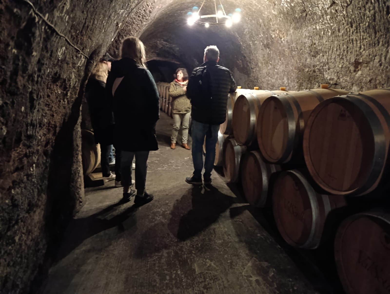 winery - ribera  del duero