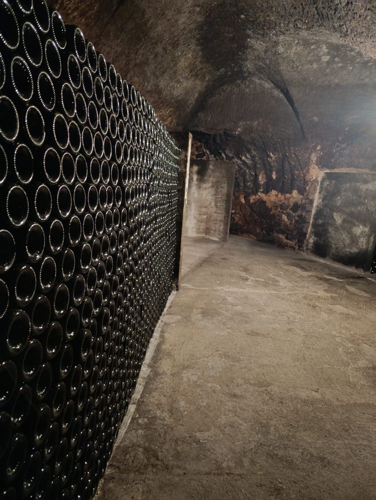 ribera del duero wine cave