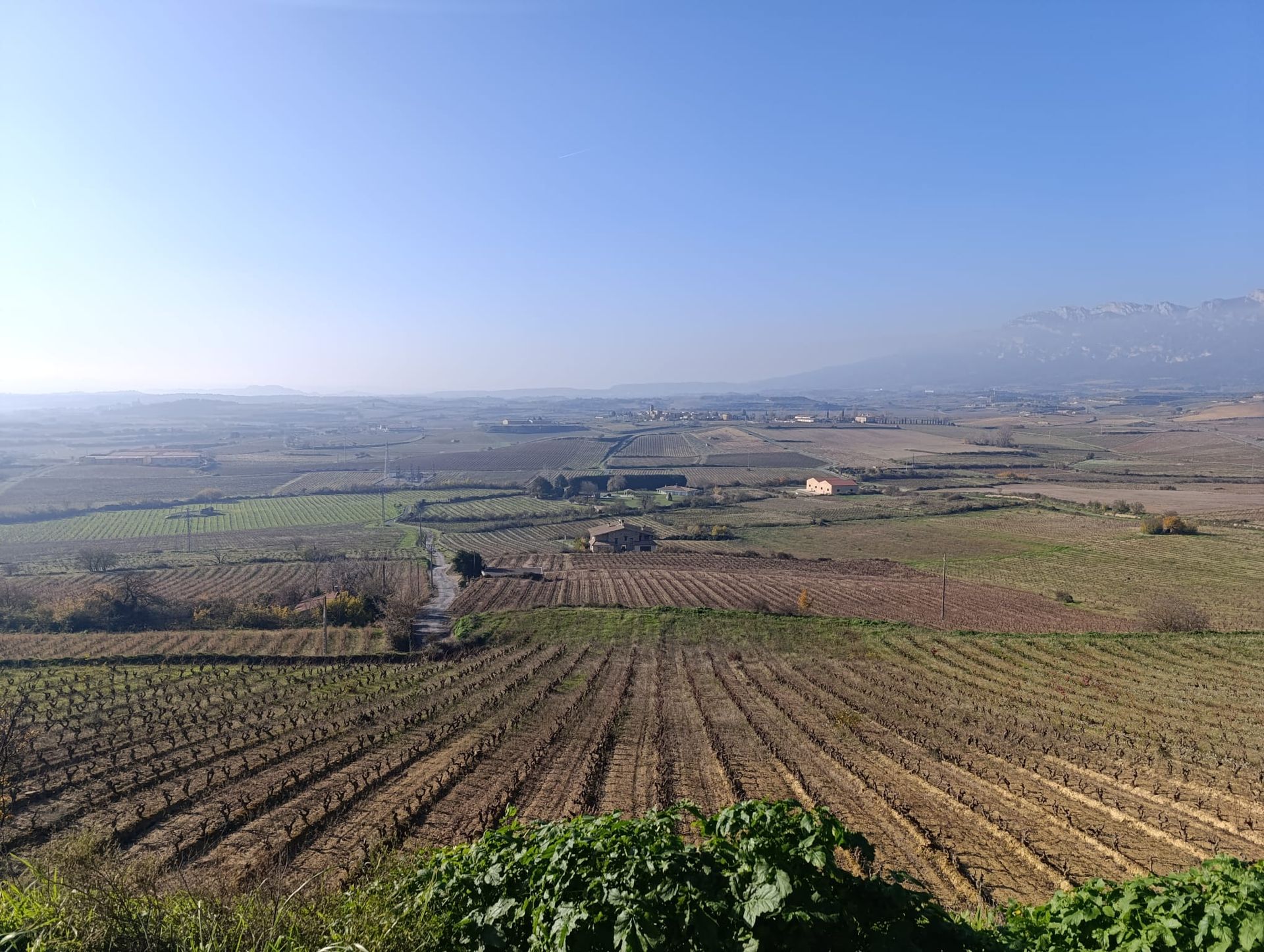 rioja wine tour