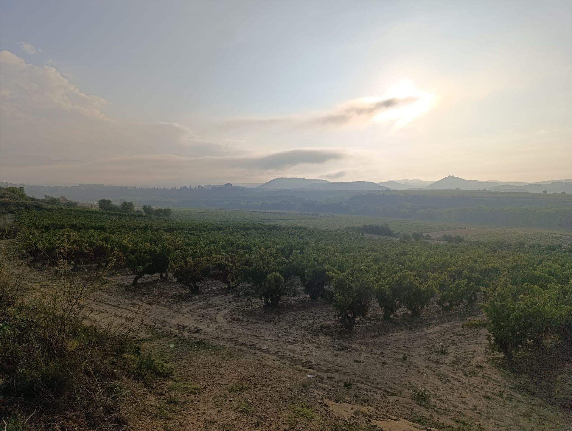 rioja vineyard views