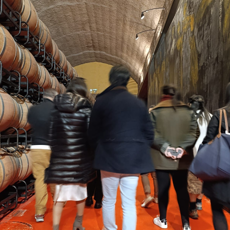 Rioja day tour