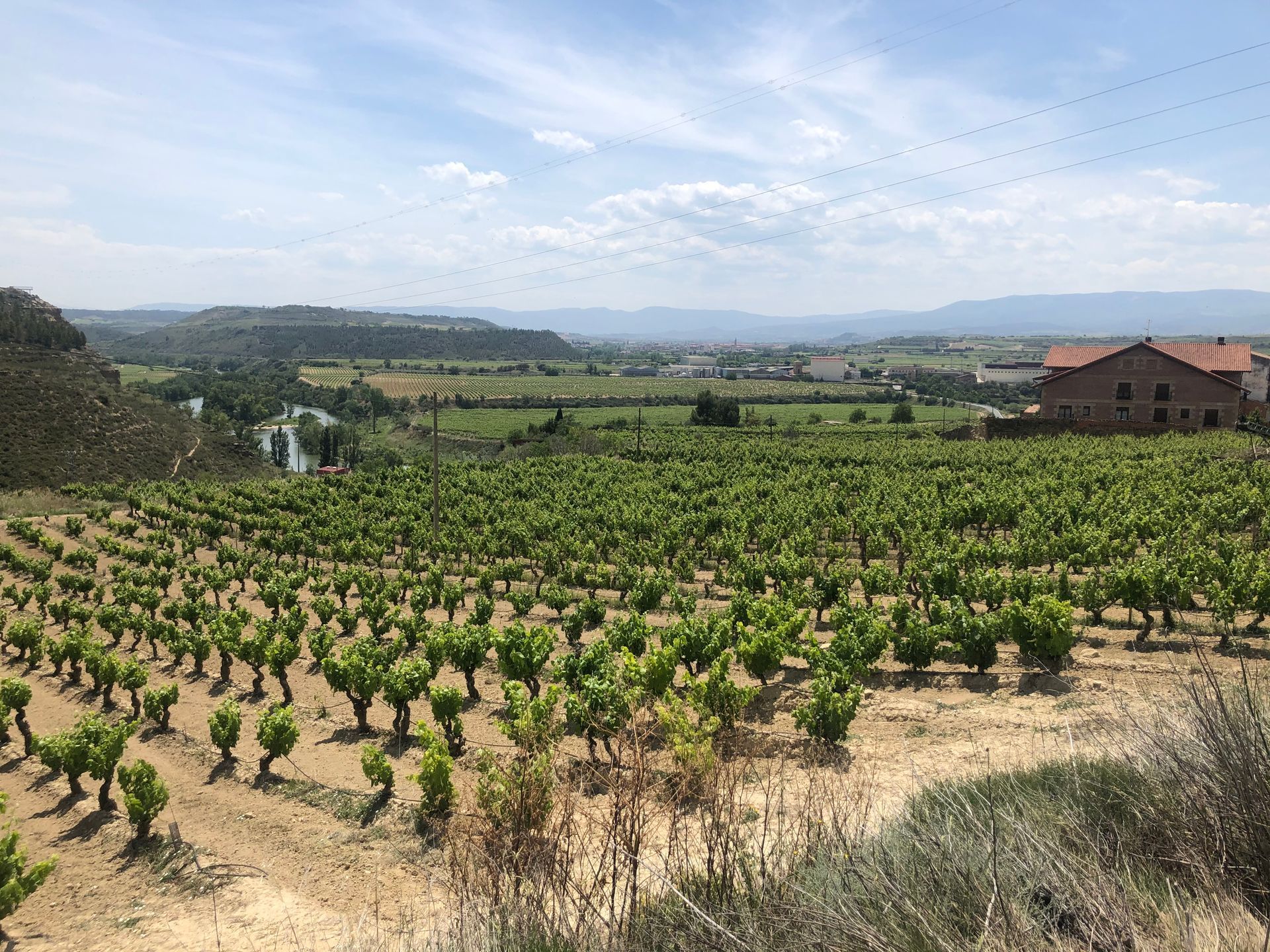 rioja vineyard visits
