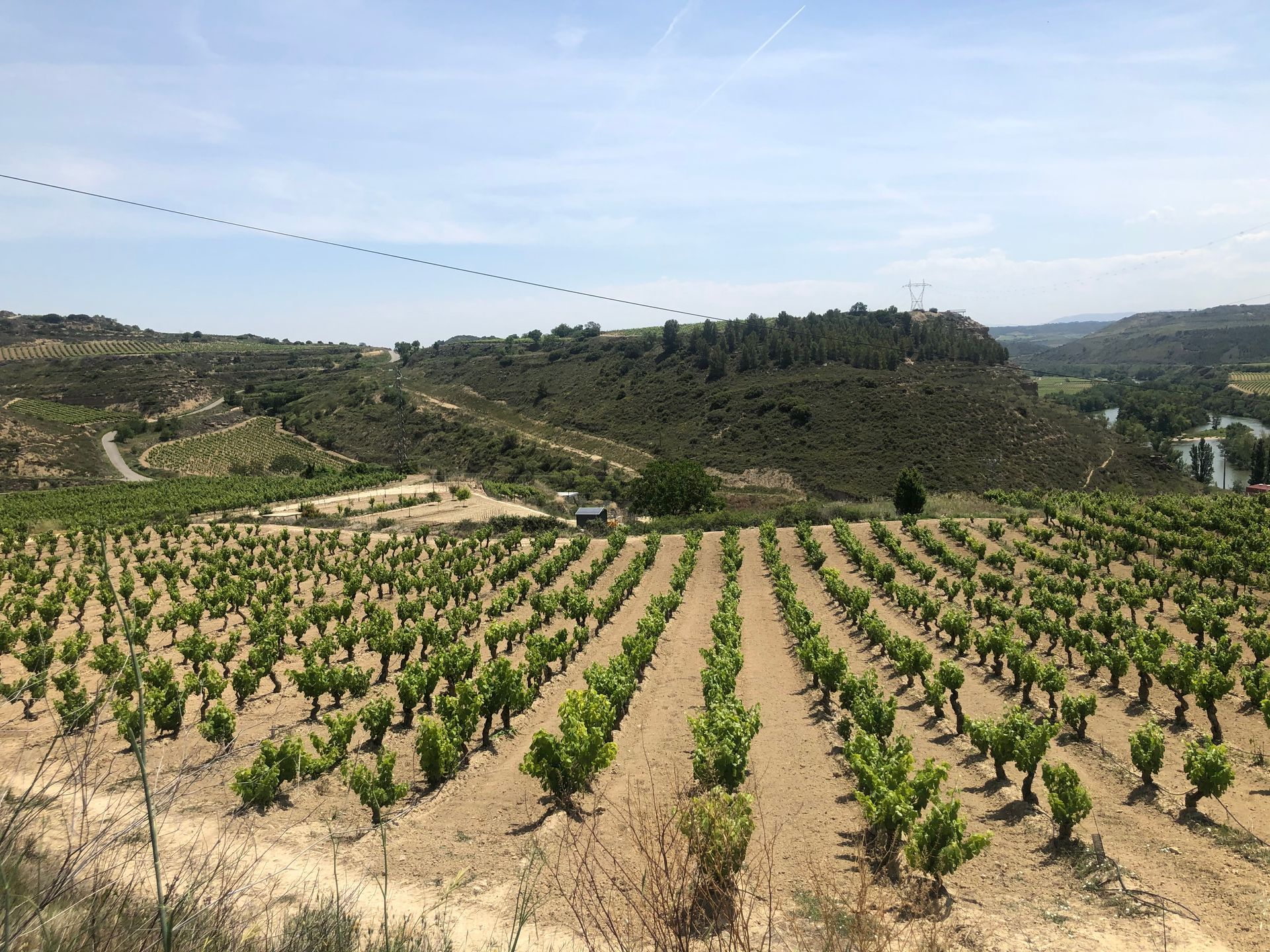 Rioja wine tour