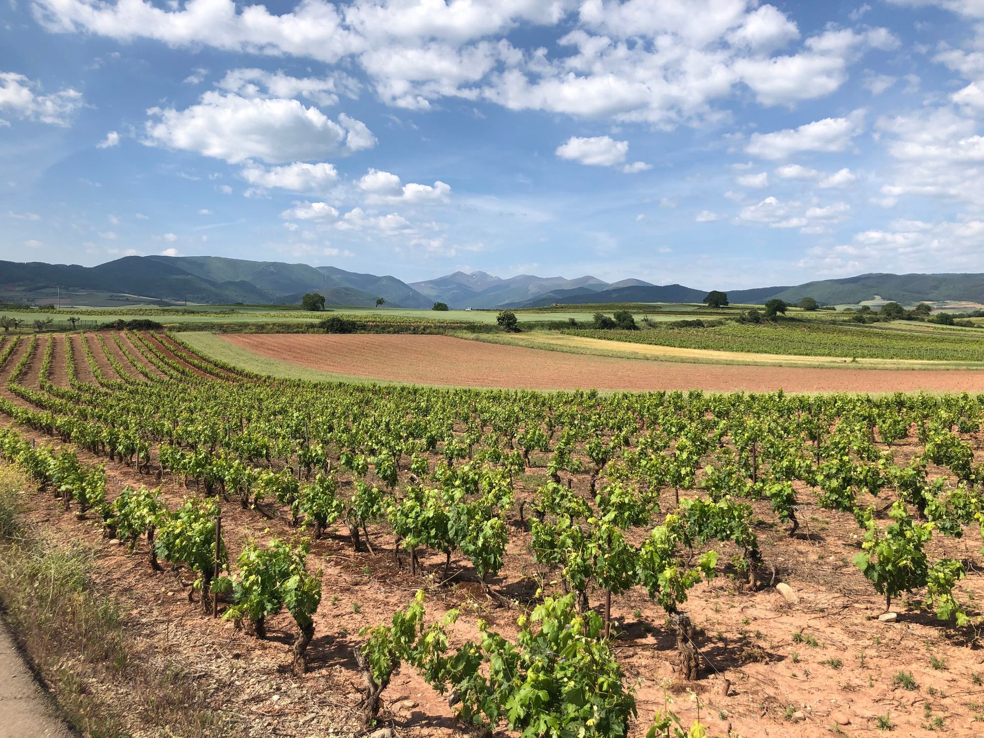 Rioja 3 winery tour