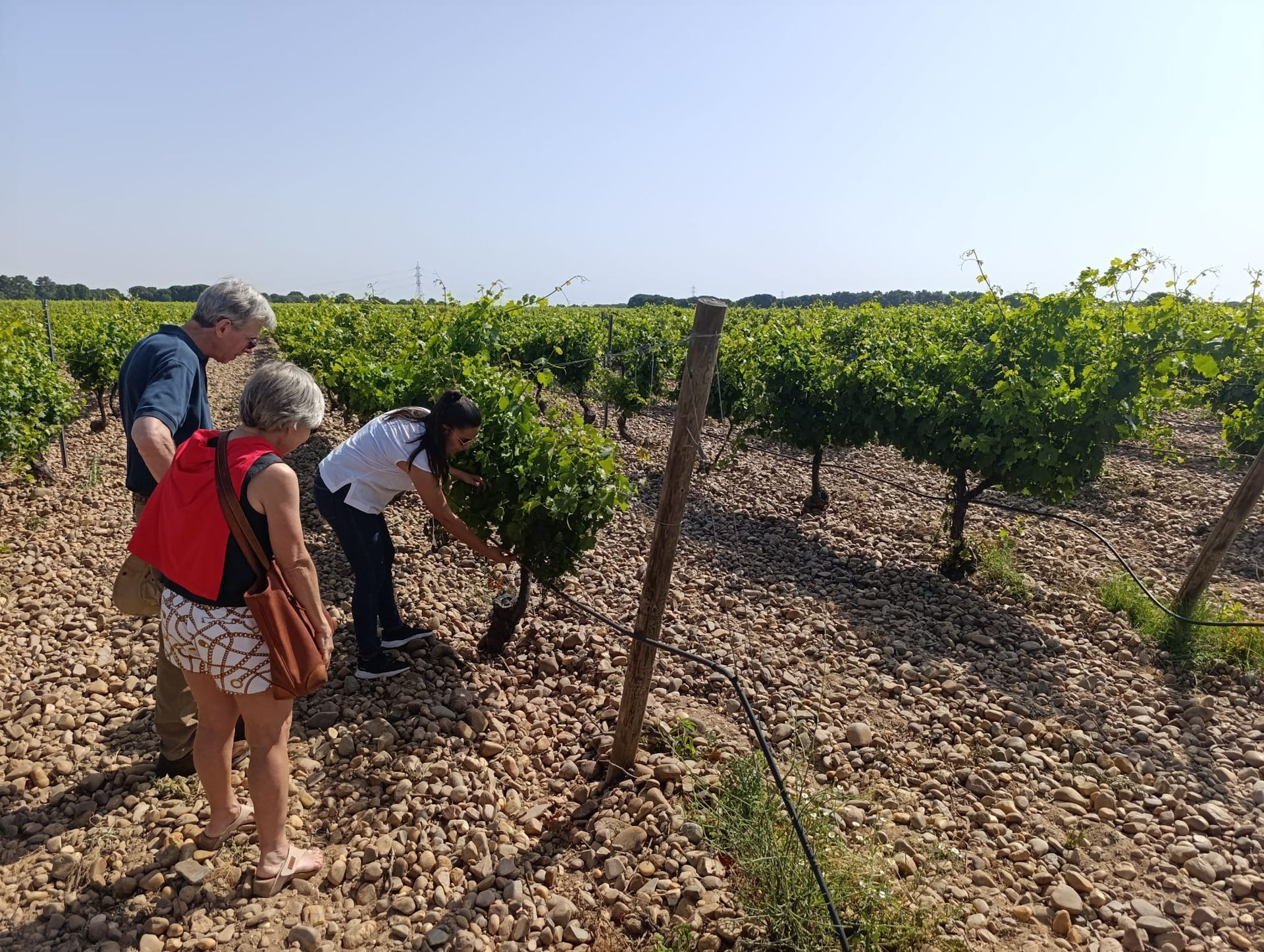 Rueda wine tour