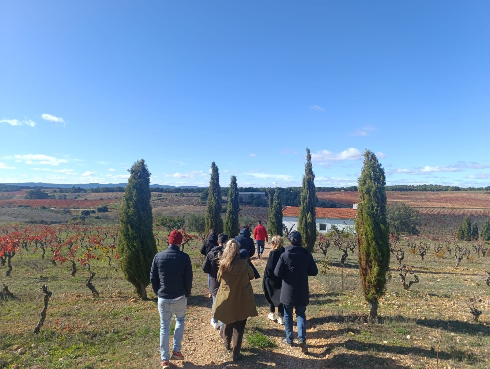 utiel-requena wine tour