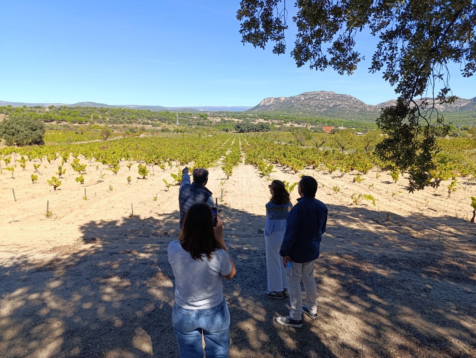 gredos vineyard visit