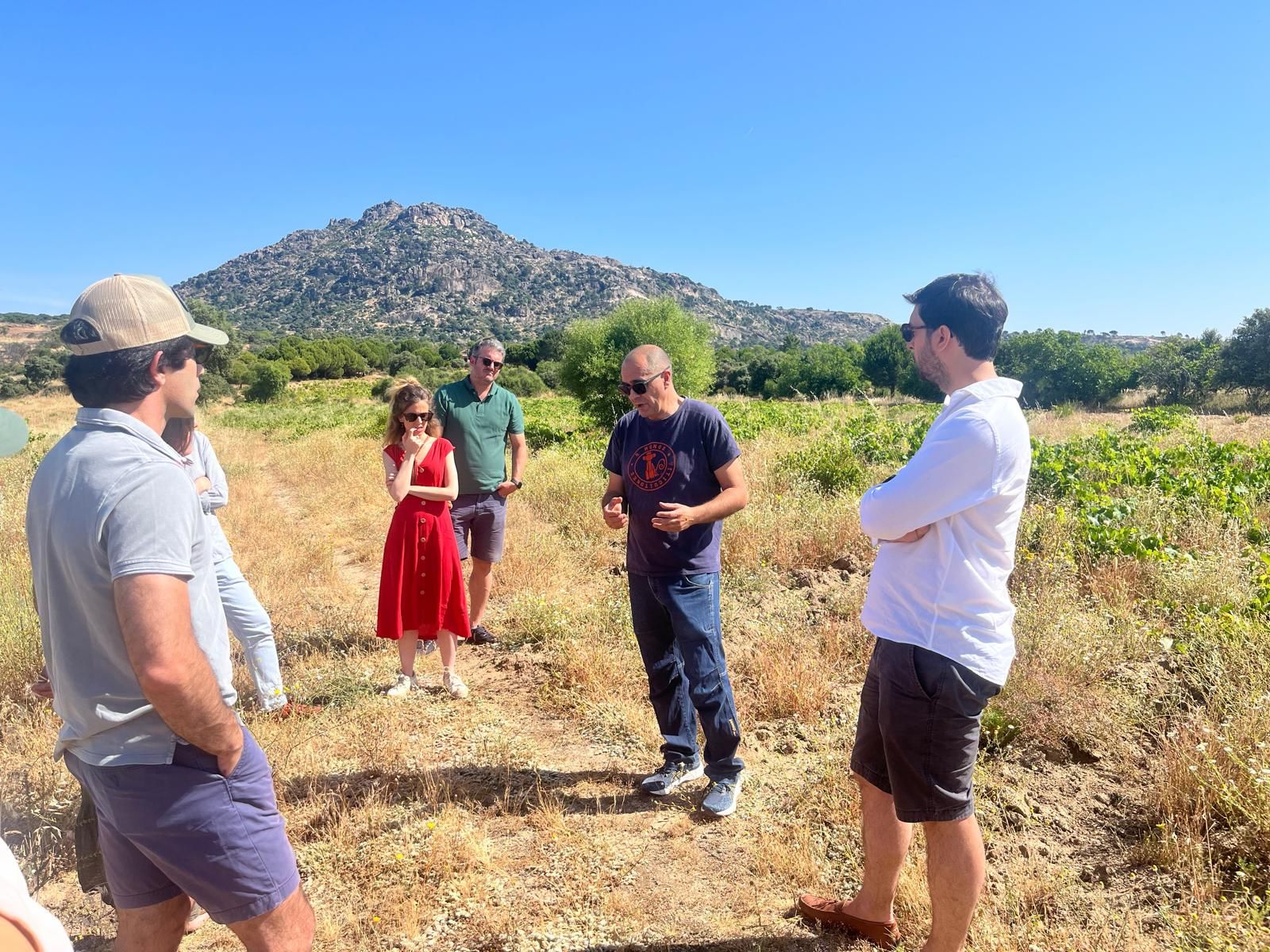 wine tour madrid