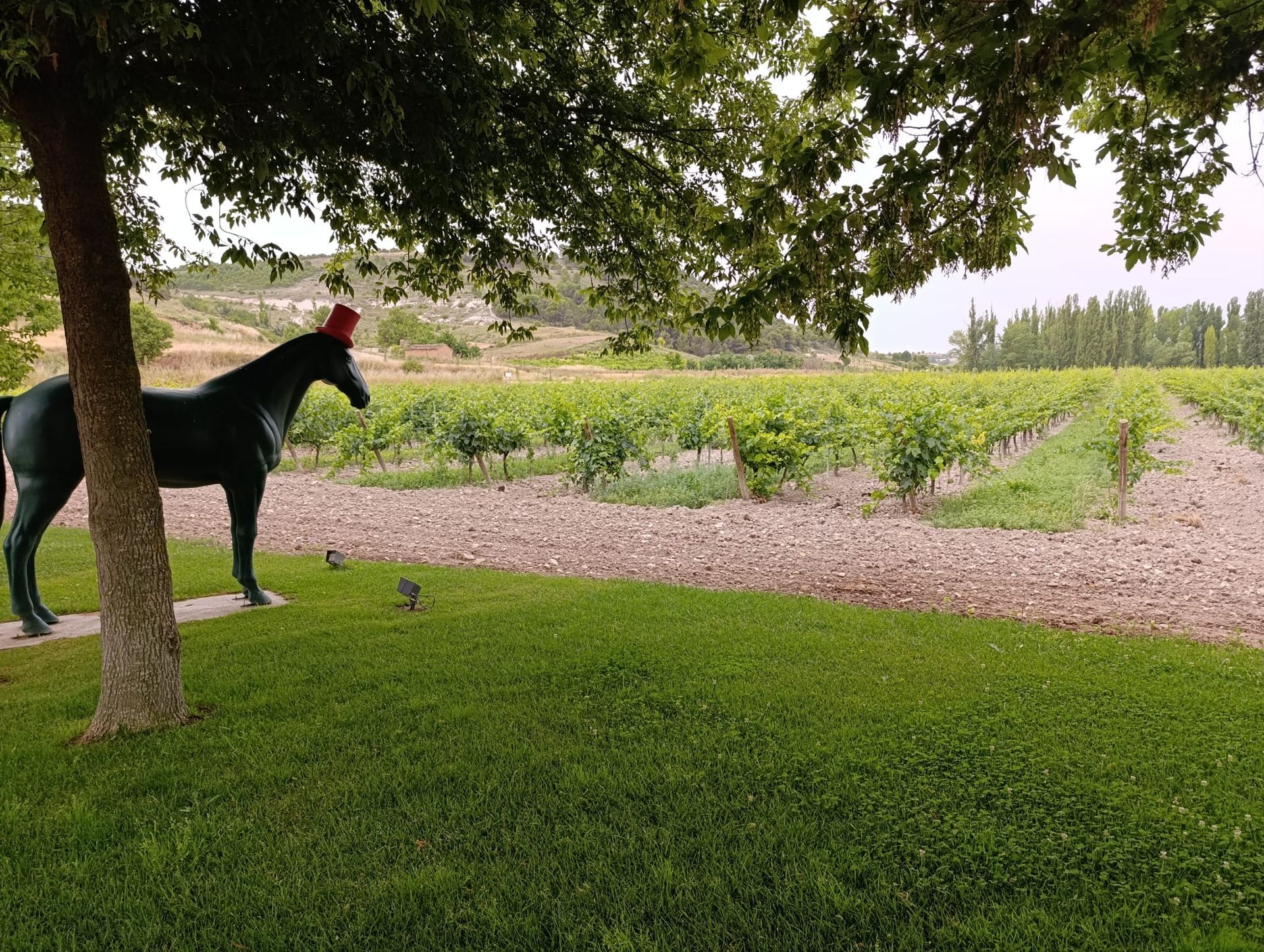 winery golden mile ribera del duero