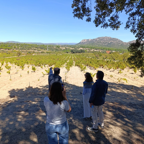 Custom Spanish wine tours