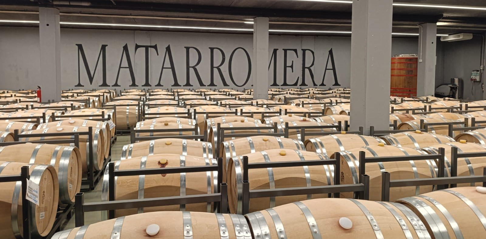 ribera del duero