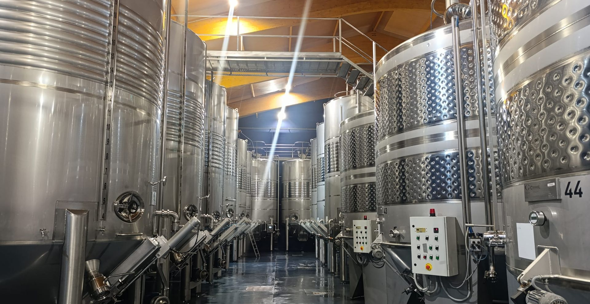 Ribera del Duero fermentation room