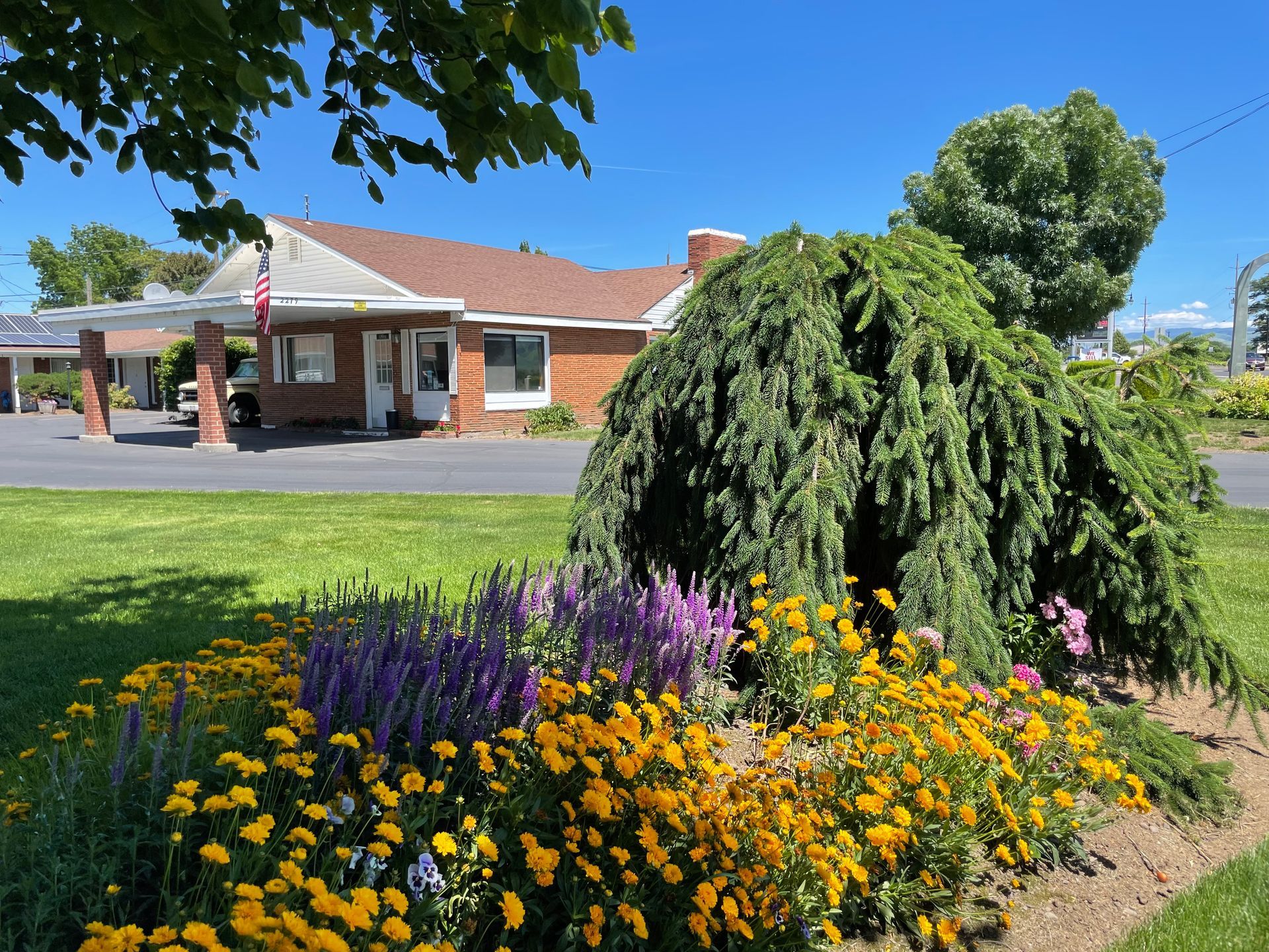 A house with a lot of flowers in front of it