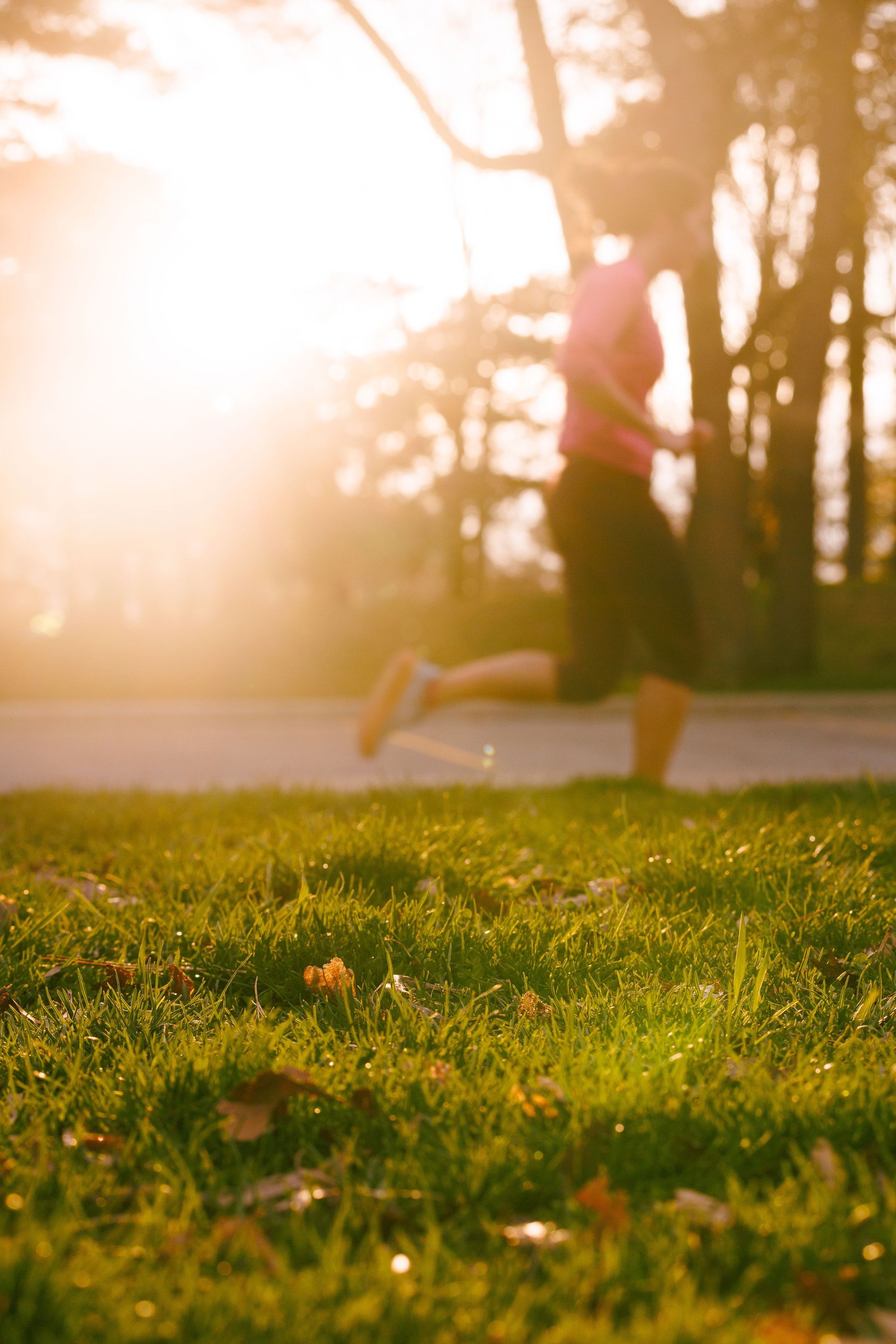 Runner jogging on a sunlit path beside green grass and trees at golden hour
