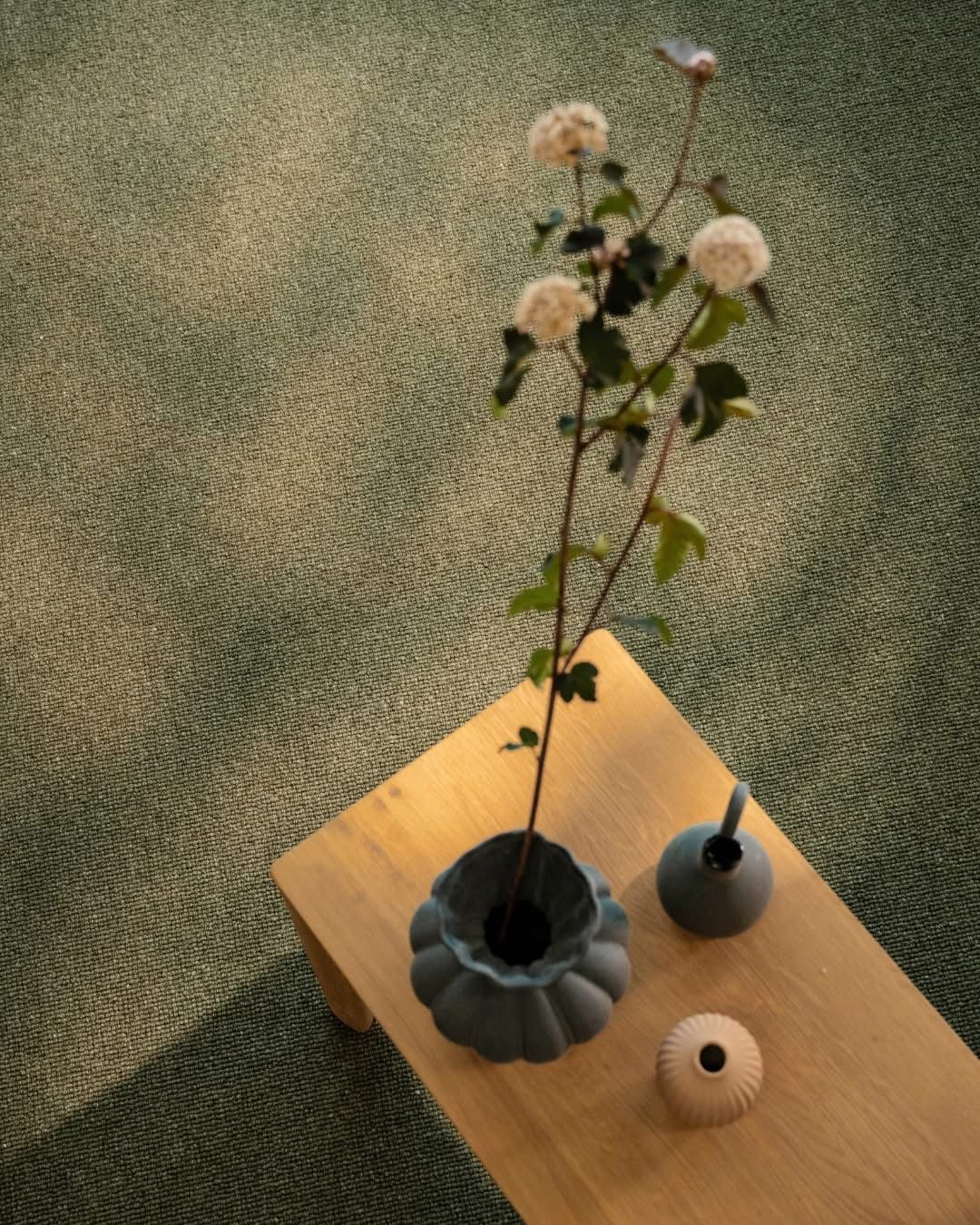 A Close up Of a Rug with A Plant on It — Kelwin Coastal Carpets In North Brisbane, QLD