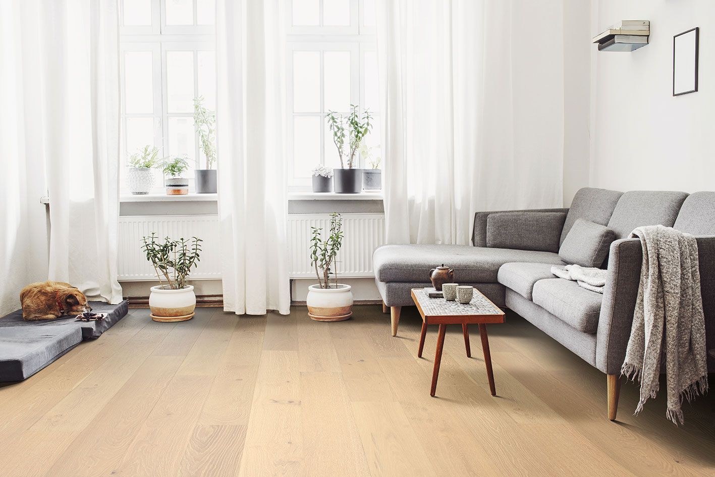 Transform Your Home with the Ocean Hybrid Flooring Range — At Kelwin Coastal Carpets!