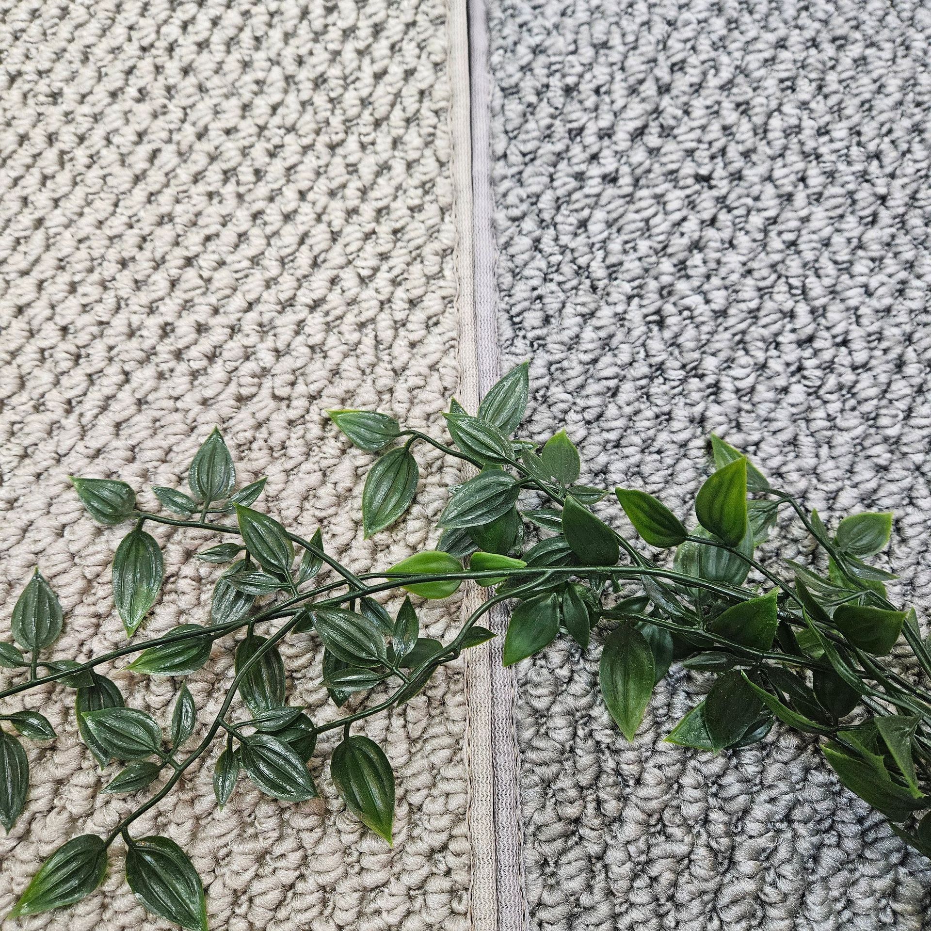 A Plant Is Sitting on Top of A Carpet Next to A Rug — Kelwin Coastal Carpets In Kundra Park, QLD