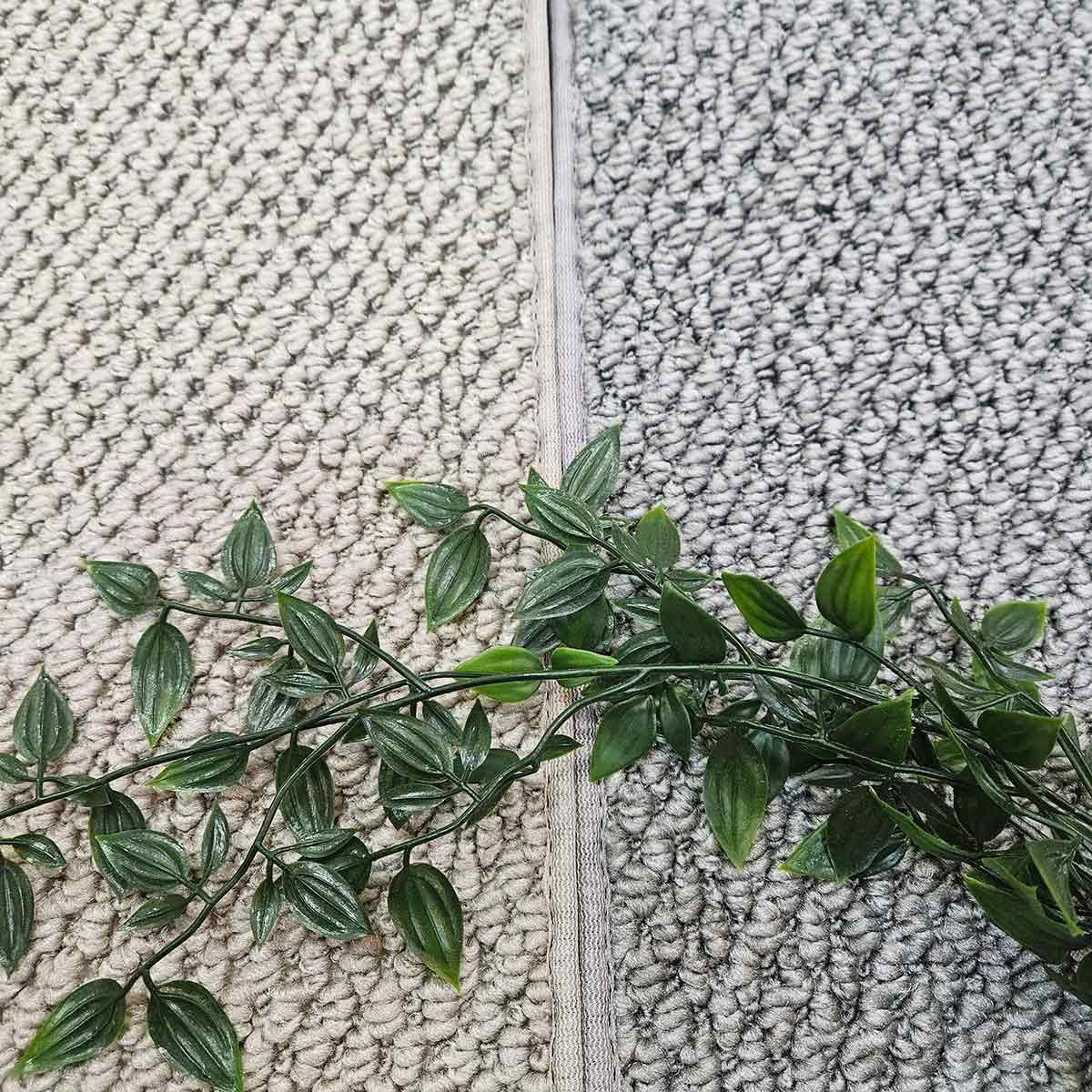 A Plant Is Sitting on Top of A Carpet Next to A Rug — Kelwin Coastal Carpets In Kundra Park, QLD