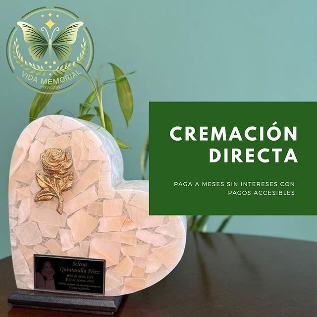 VIDA MEMORIAL PREVISIONES