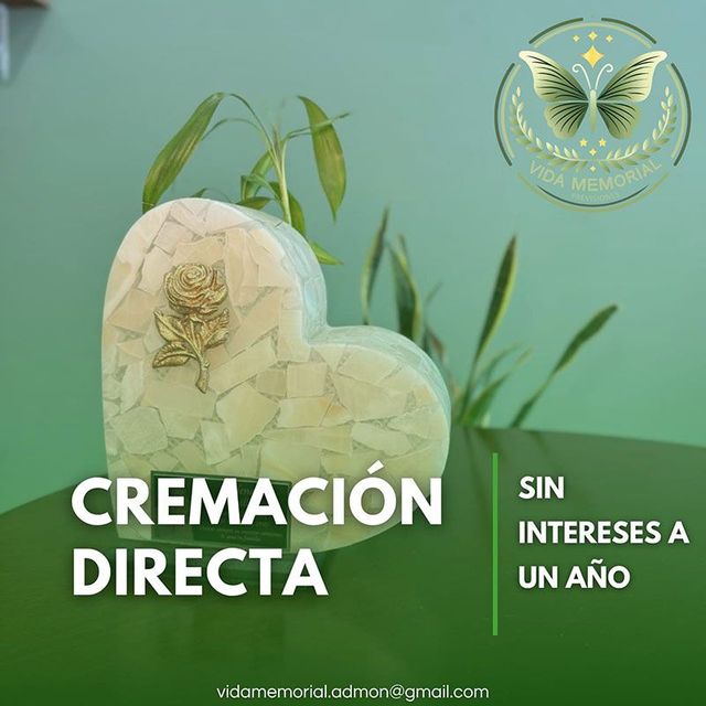 VIDA MEMORIAL PREVISIONES