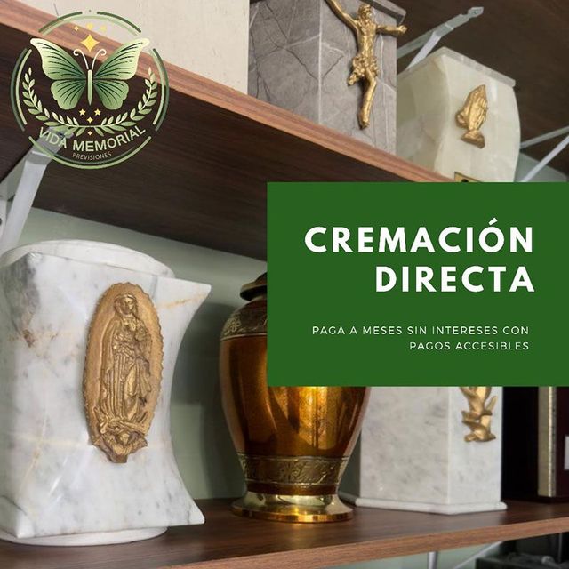 VIDA MEMORIAL PREVISIONES