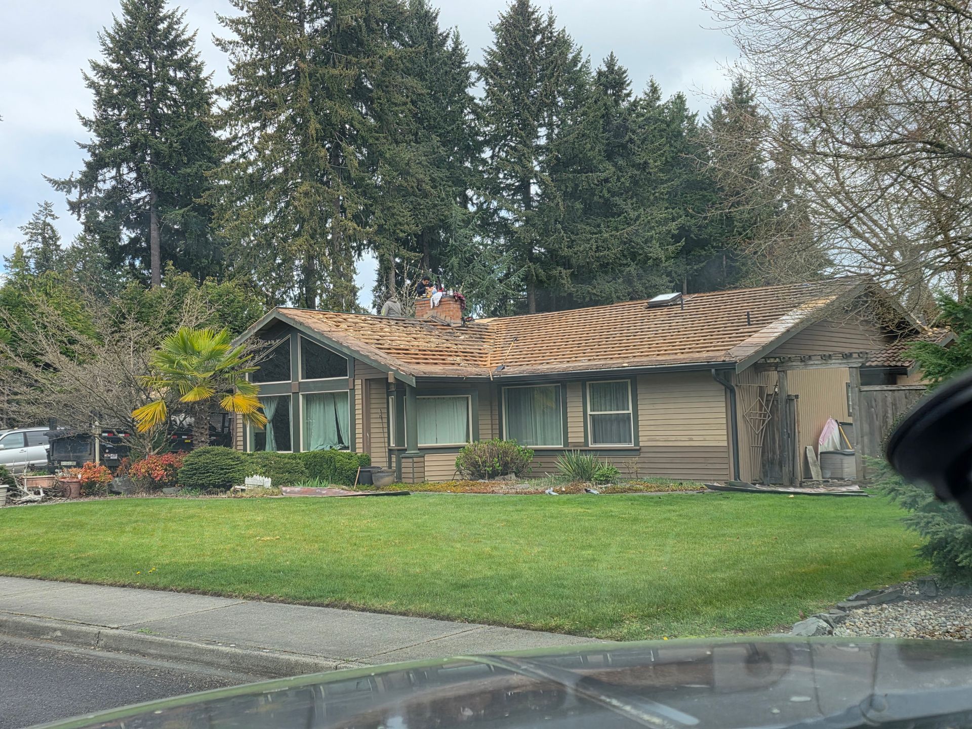 Single-story suburban house with a damaged roof and a green lawn, framed by tall trees.