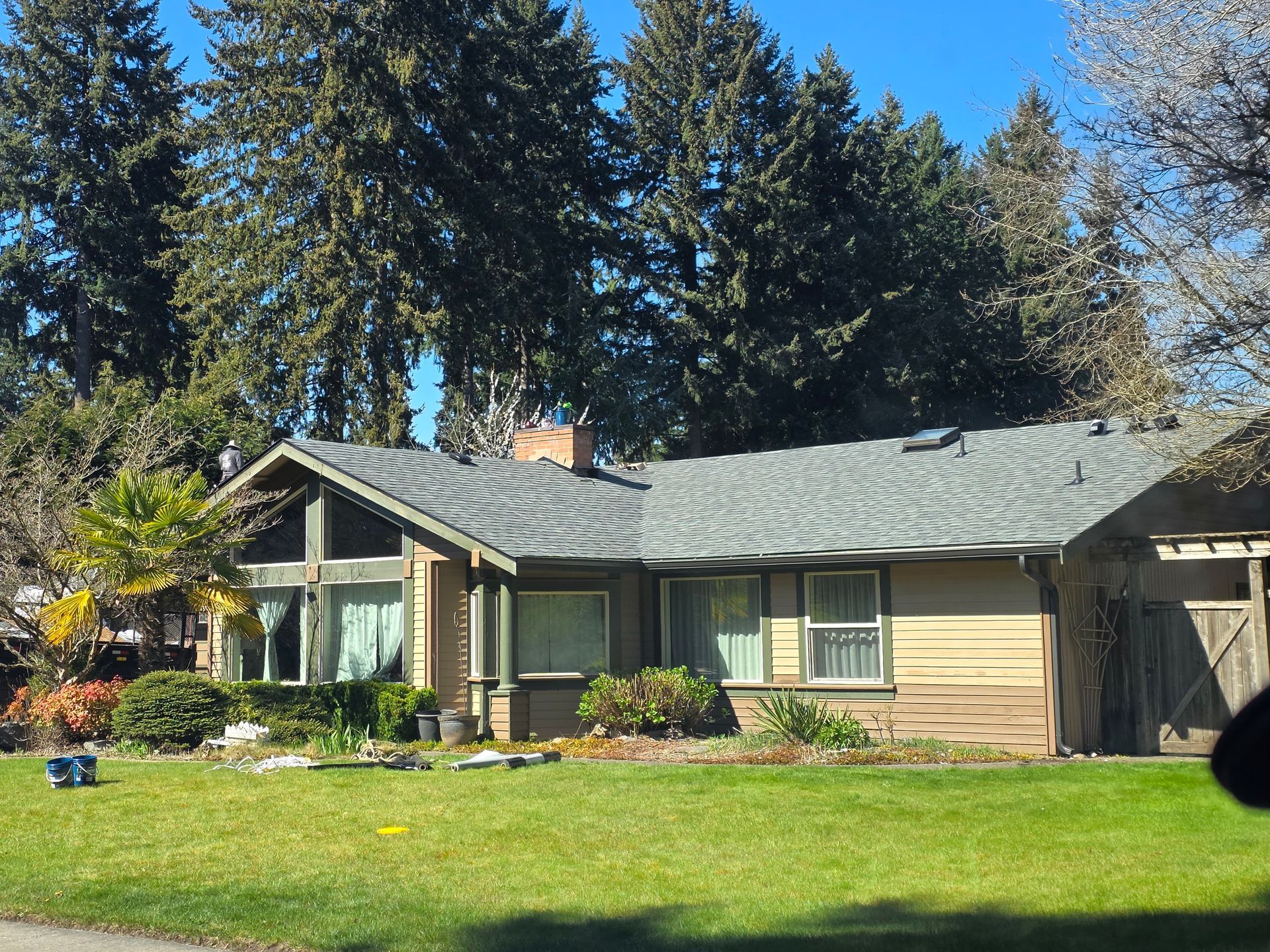 Single-story tan house with dark roof, front lawn, and tall trees under a clear blue sky