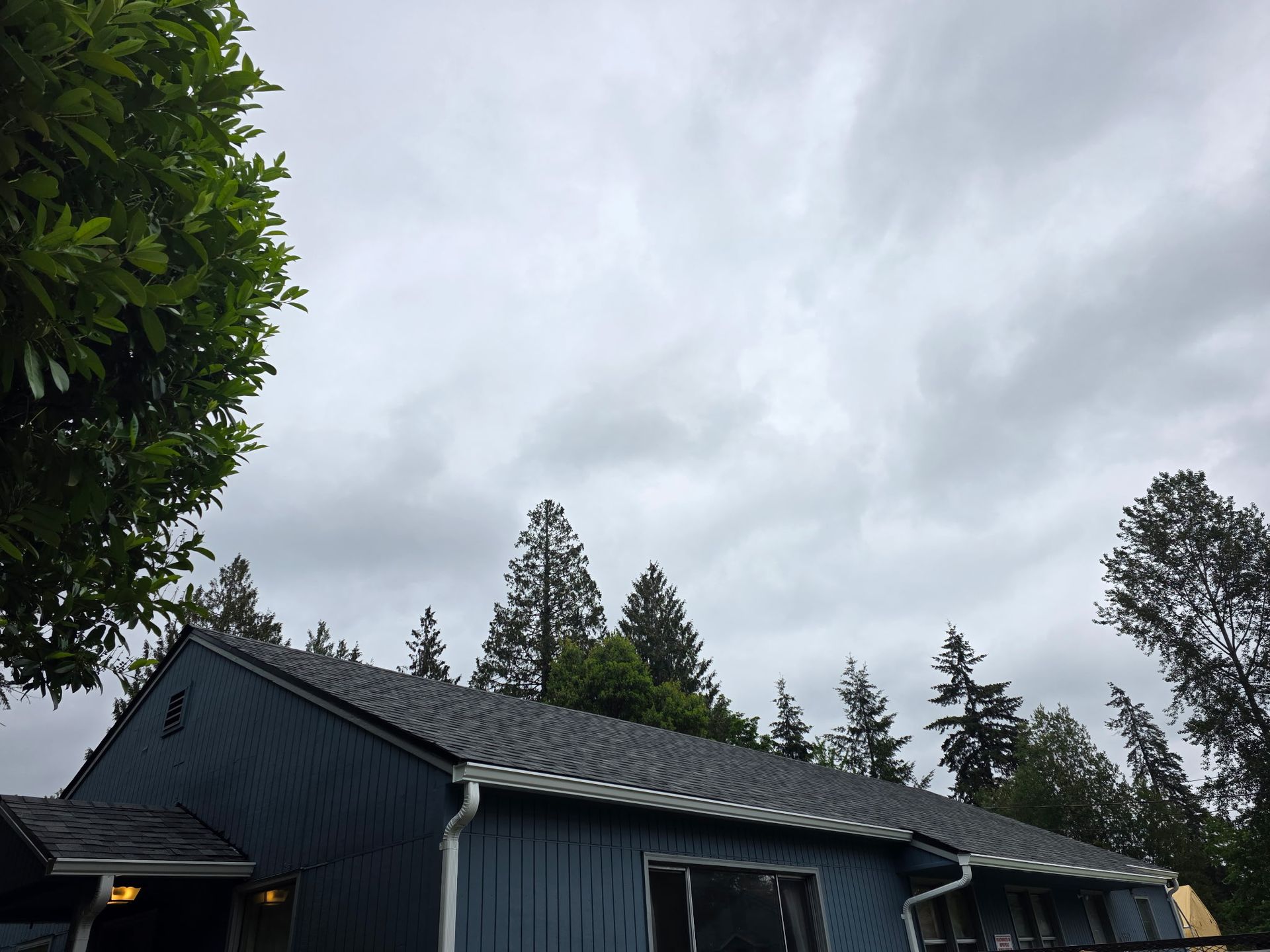 Gray house roof and dark blue siding beneath cloudy sky, with tall trees in the background