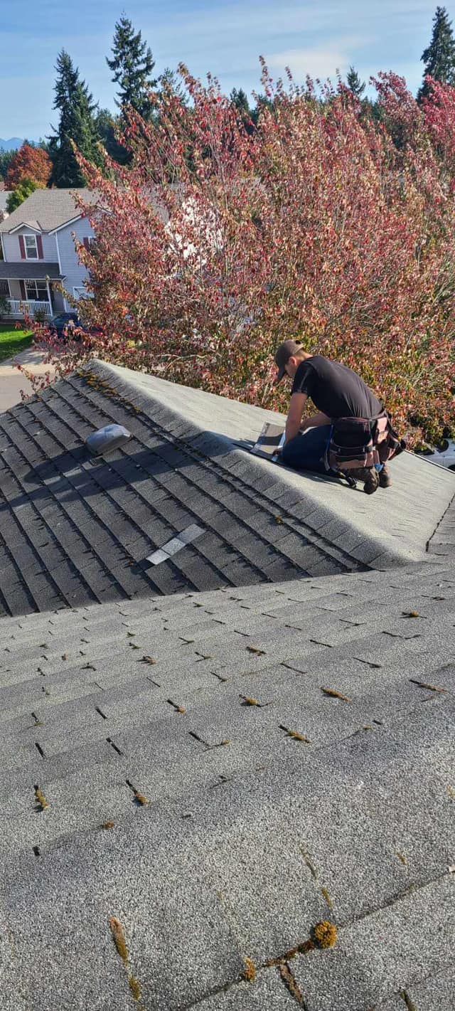 Worker repairing a shingled rooftop beside a tree with red leaves, outdoors in daylight