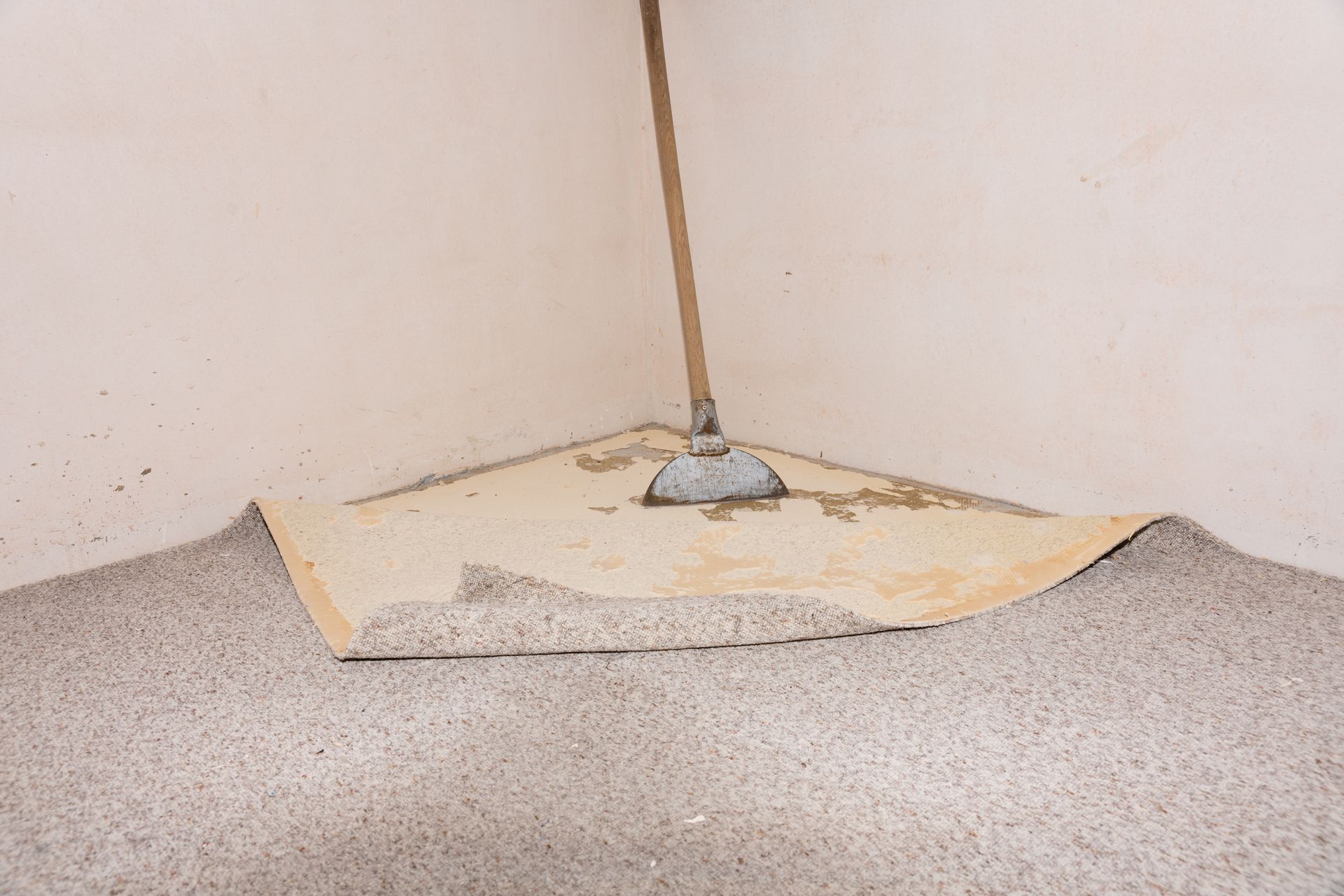carpet removal services florida carpet removal services florida