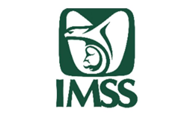 CONSE SEGURIDAD INDUSTRIAL - IMSS