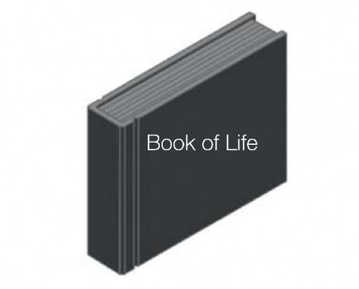 Black book titled