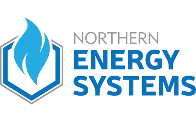 logo design nes