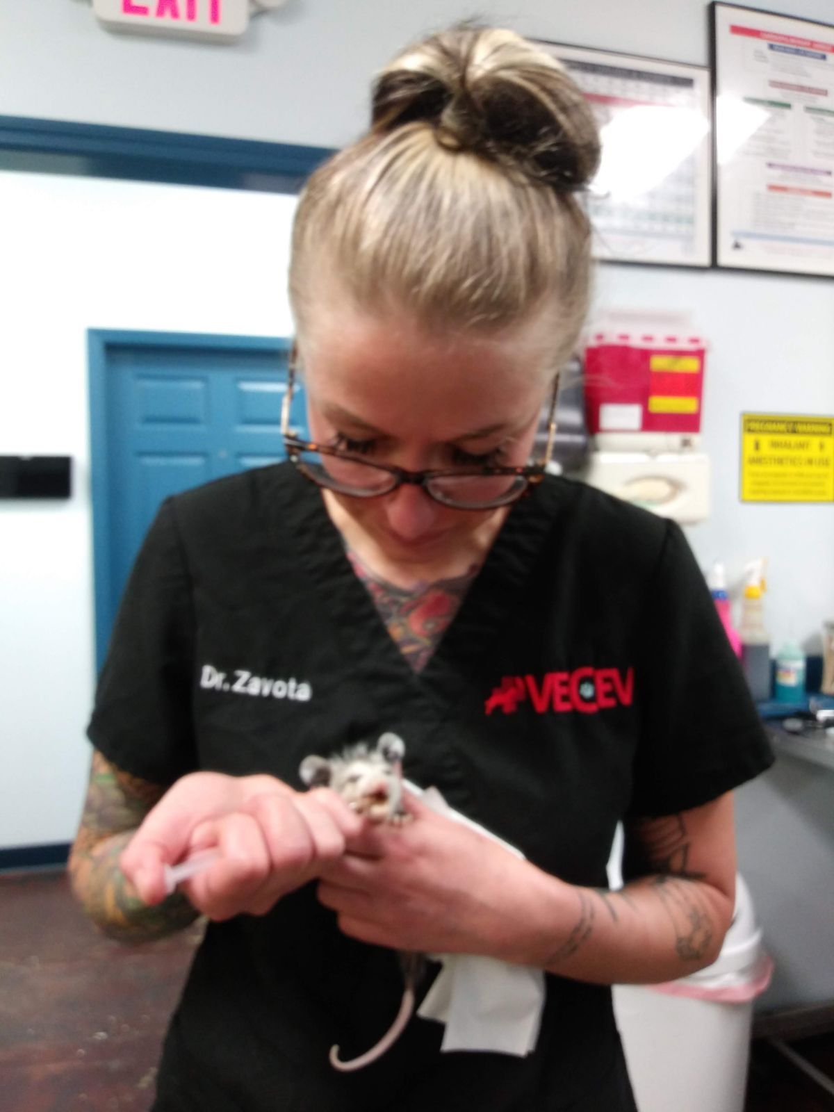 Veterinarian in black scrubs holding a tiny puppy in a clinic hallway