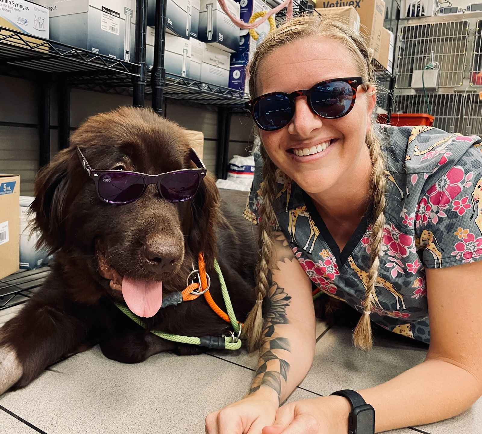 Vet – Port Orange, FL – Veterinary Emergency Center of East Volusia