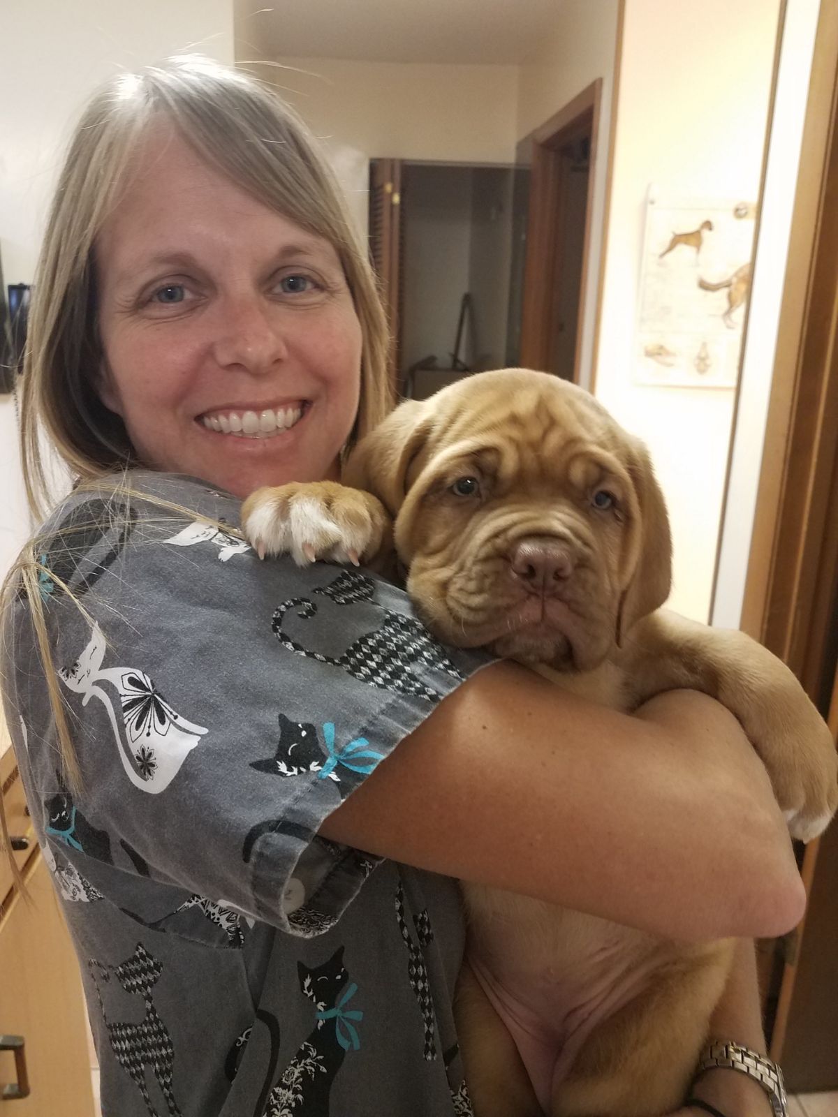 Emergency Veterinary Clinic South Daytona, FL Veterinary Emergency