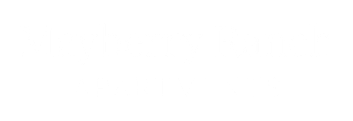 Company Logo - Footer
