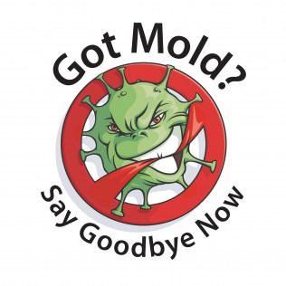 Got Mold? badge with a green mold monster and the words