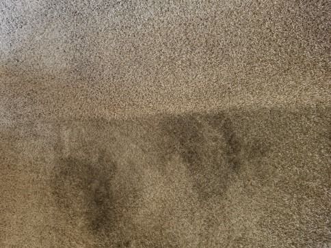 Blurred brown and tan textured surface with faint dark smudges near the bottom