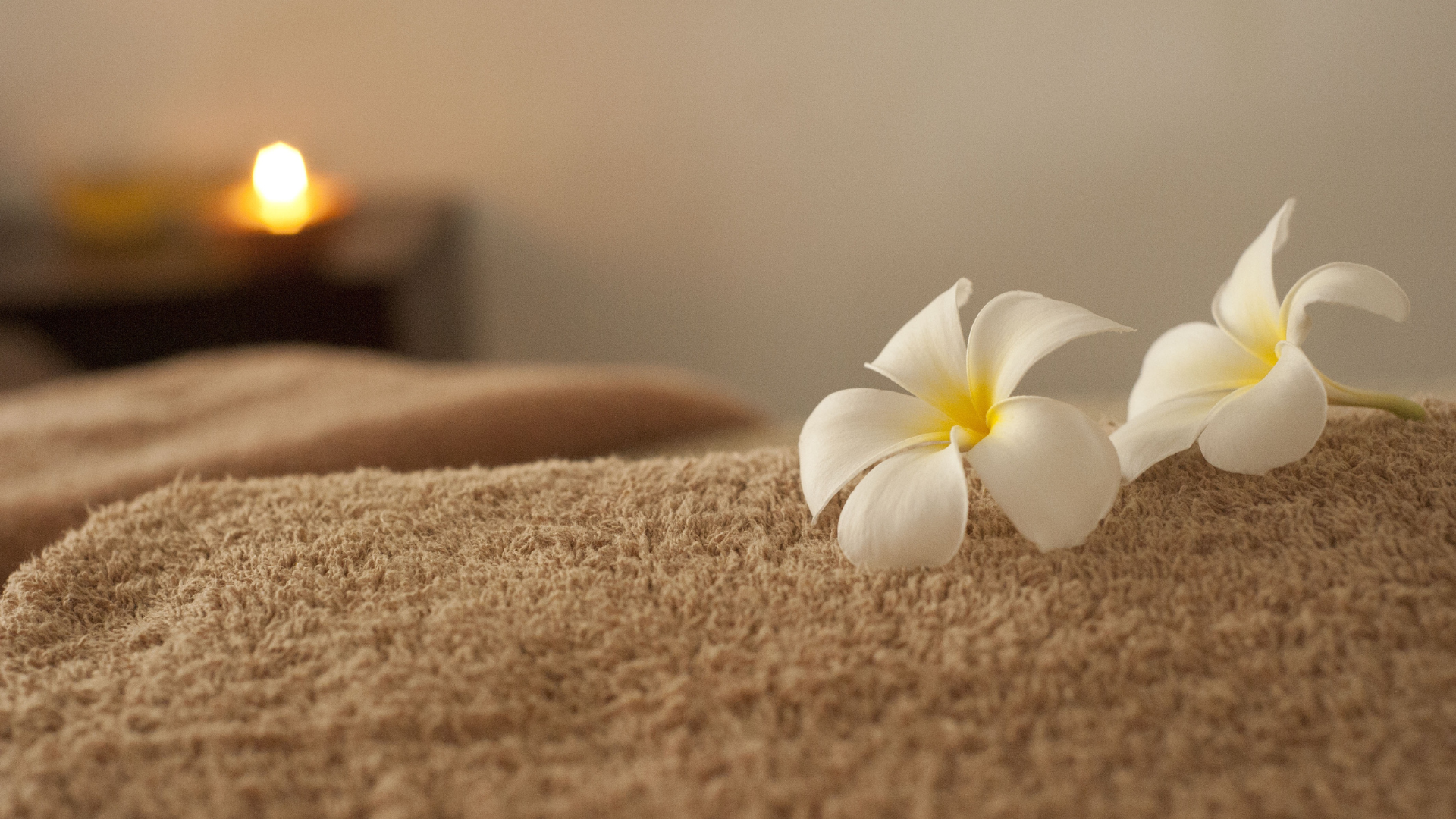 Two white flowers are sitting on top of a brown towel.
