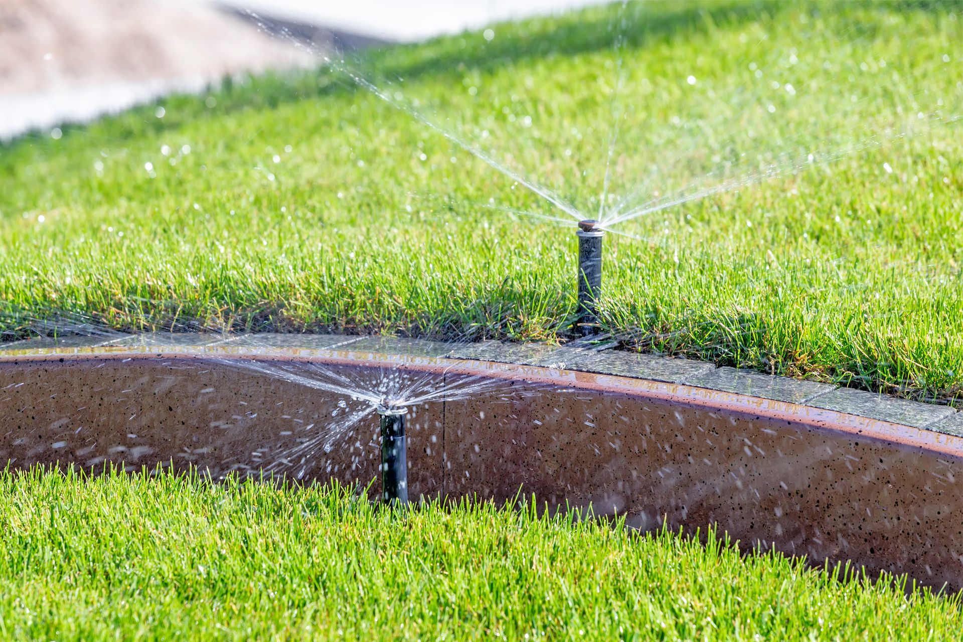Sprinkler System in Backyard
