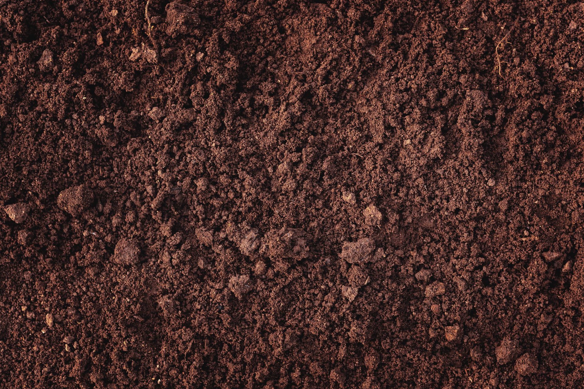 Healthy Soil