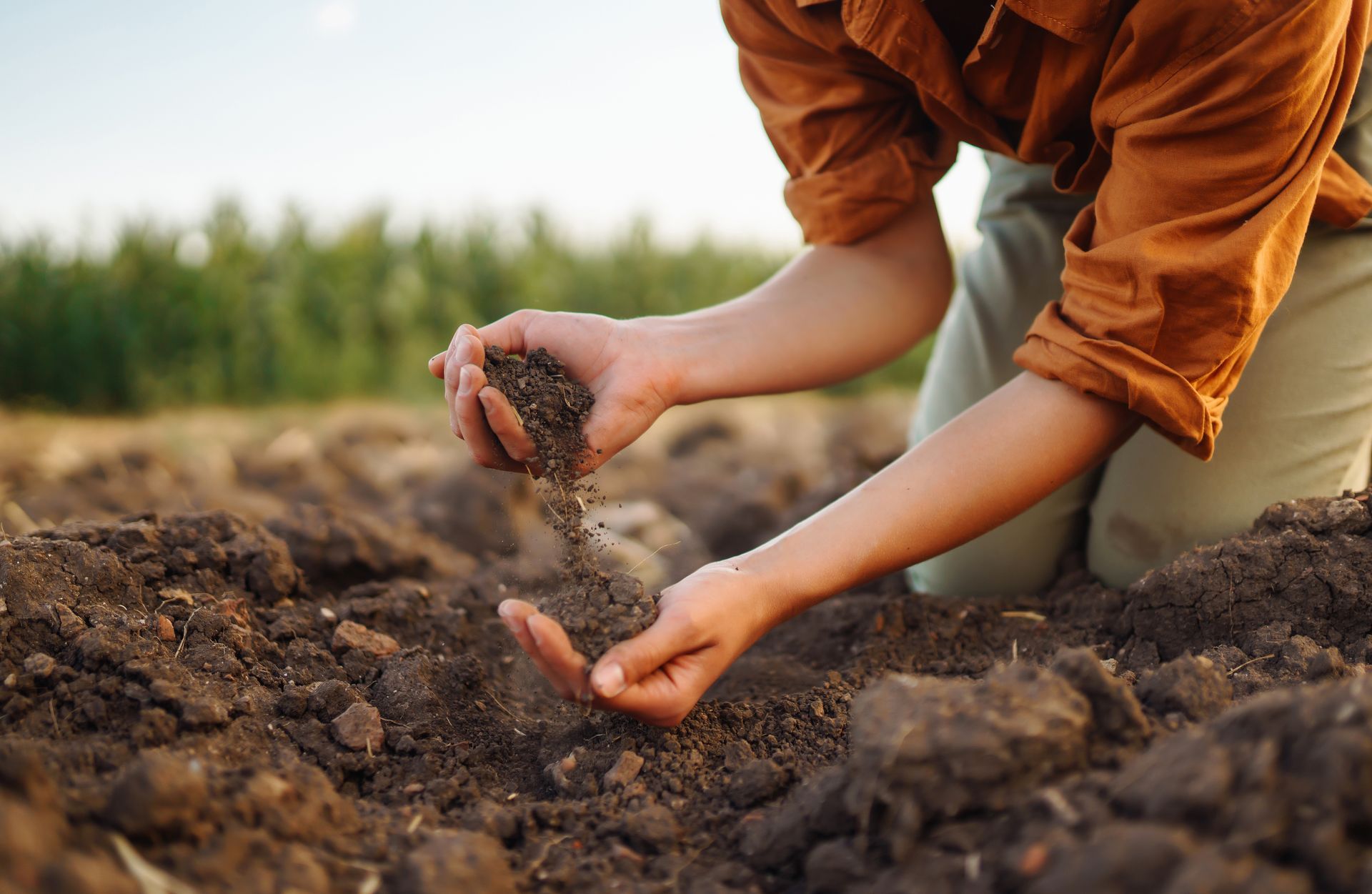 Checking the Soil