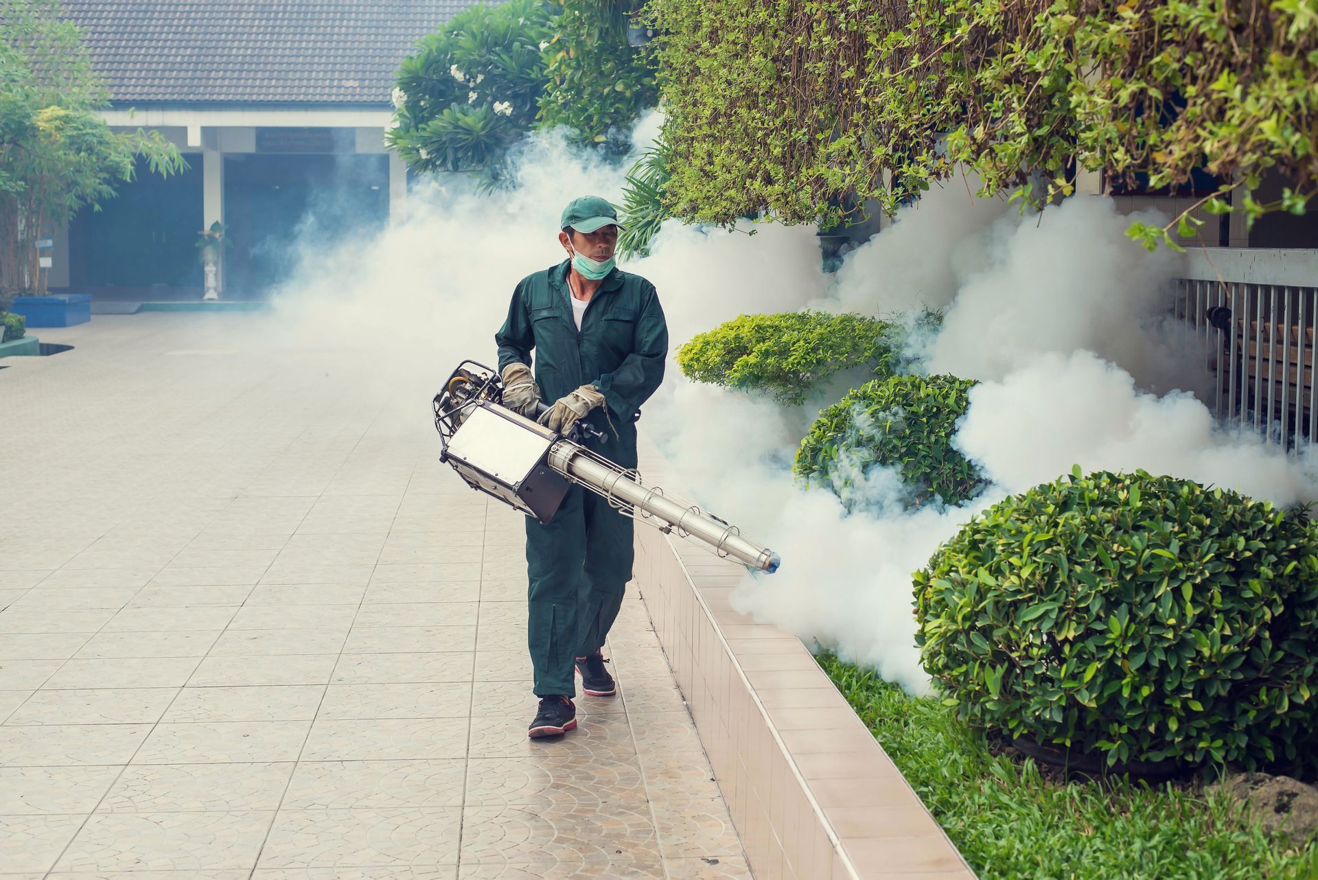 Fogging in Backyard