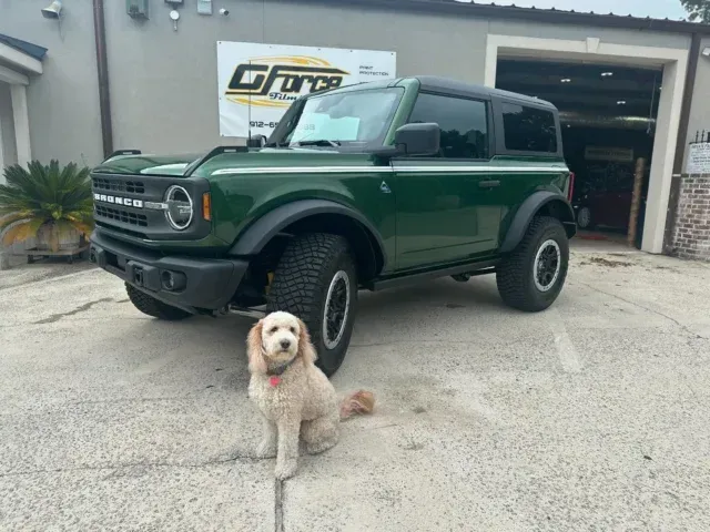 White dog sitting in front of a dark green off-road SUV outside a garage